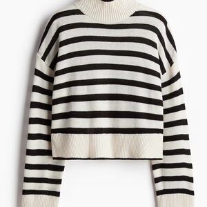 H&M Dividend Black and White Striped Turtleneck Sweater